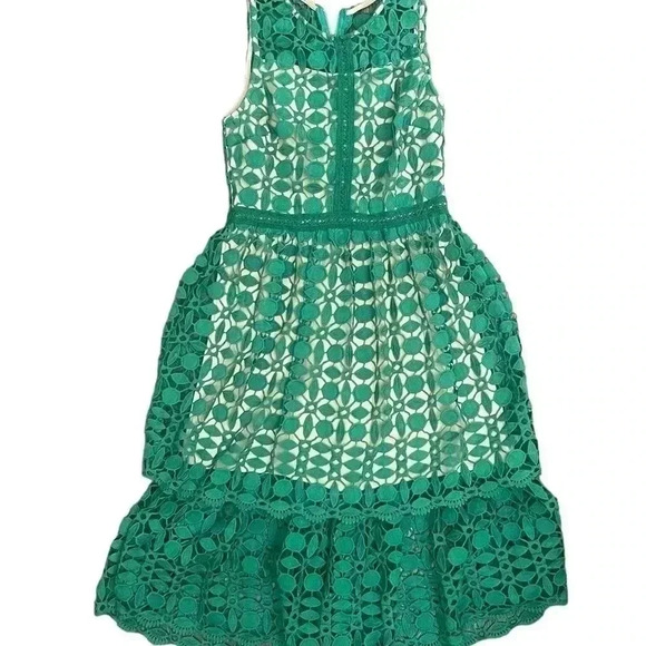 Ryan Michelle Dress Sz Petitie Meduim PM Green Floral Lace Fit Flare Midi Tirerd - Picture 8 of 8